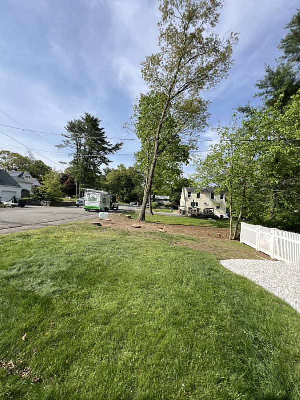 Finished yard after removal and cleanup