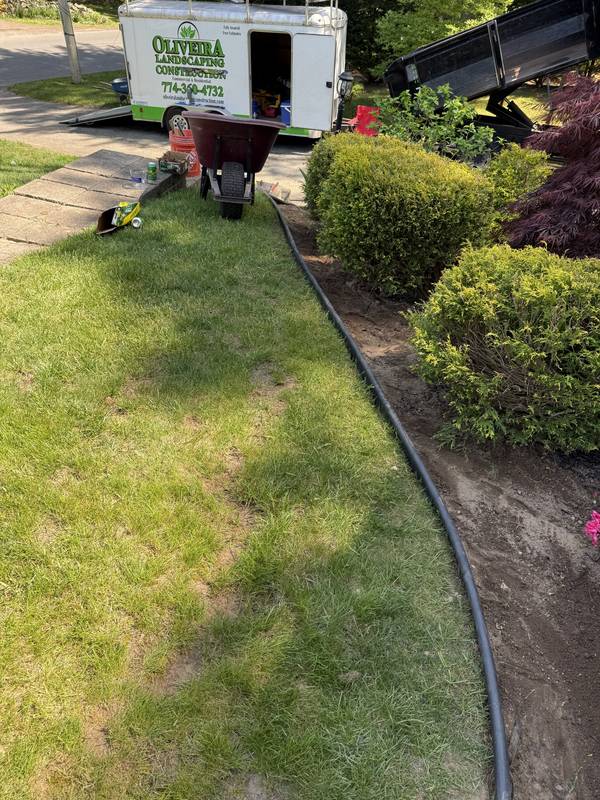 Crisp curved edge separating lawn and planting bed