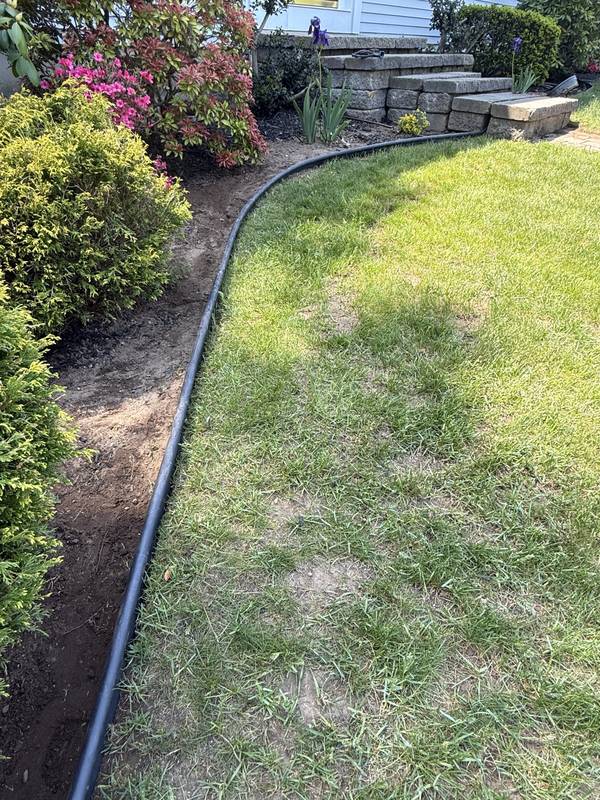 Long sweep of new edging along the lawn