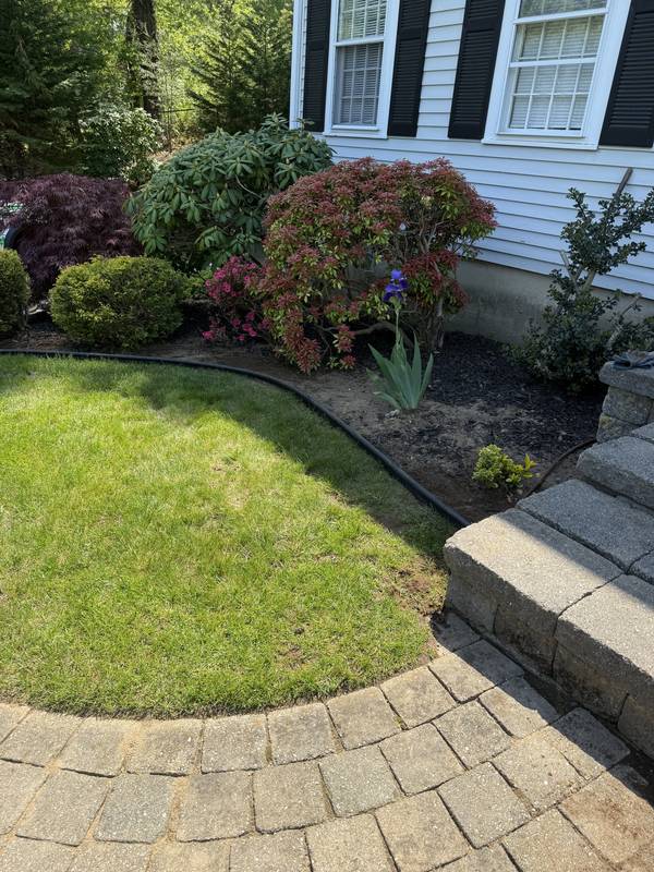 Clean bed lines hugging the curved paver walkway