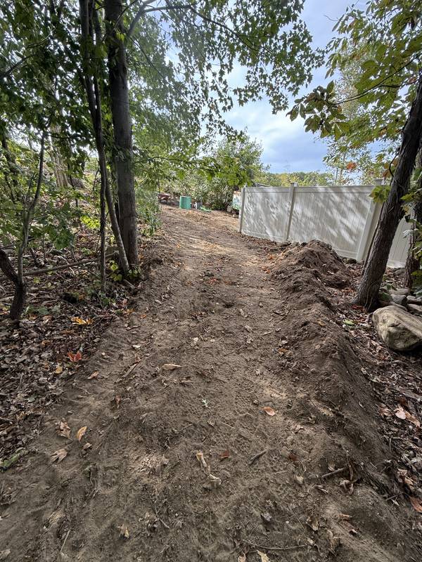 Area cleared and rough-graded for planting