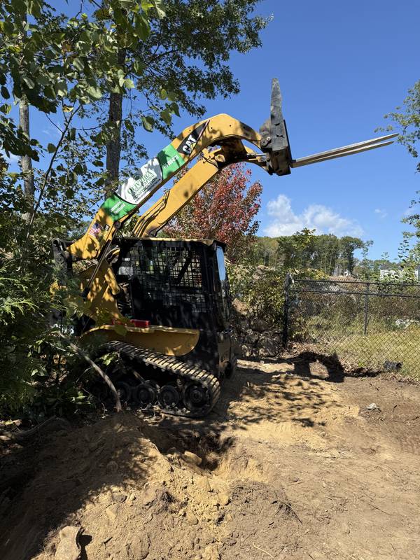 Moving large trees into place with a compact track loader