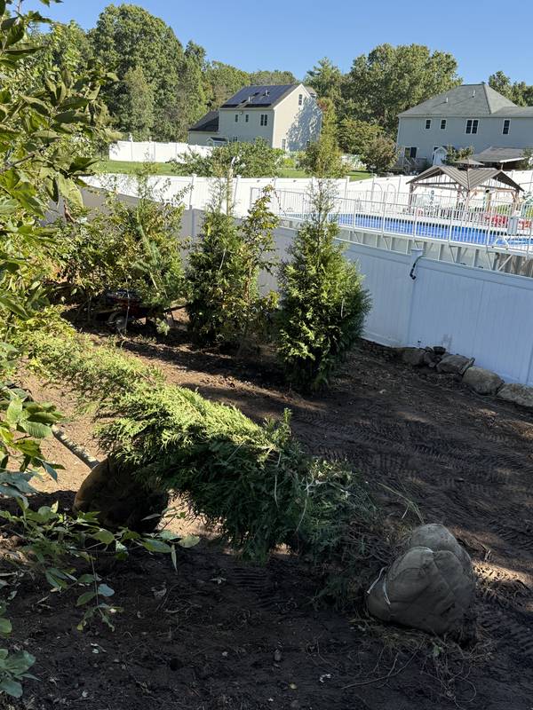 Evergreens and boulders softening the view of the fence