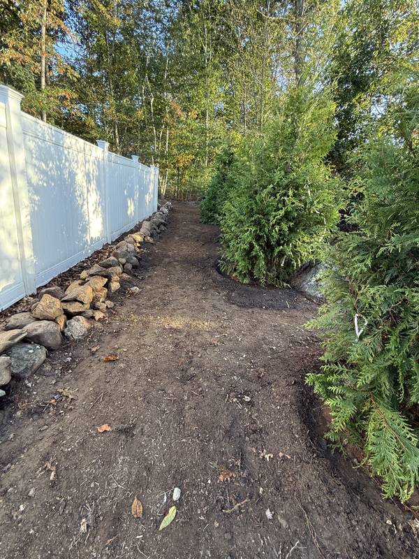 Arborvitae screen beside a stone-lined fence border