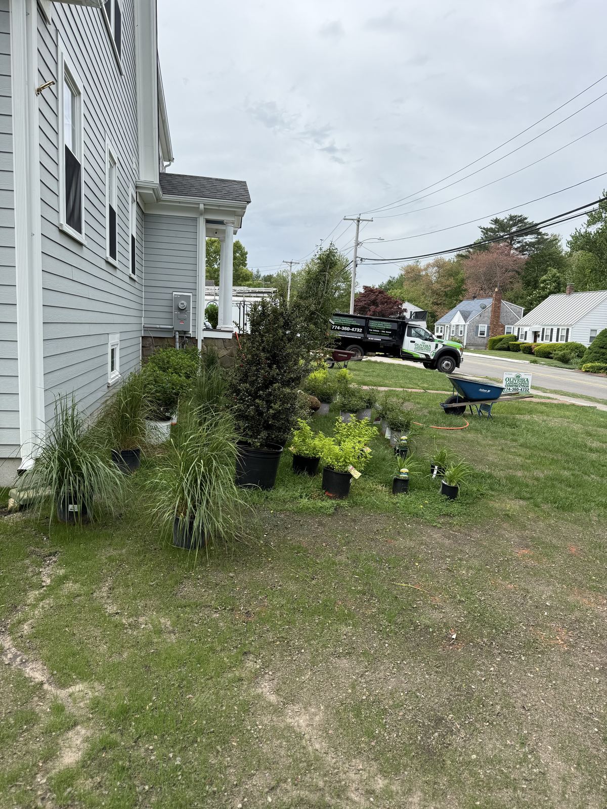 Plants staged on the lawn before the new beds were cut in
