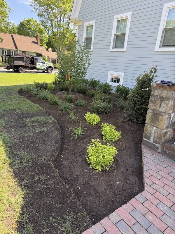 New planting bed curving along the brick walkway