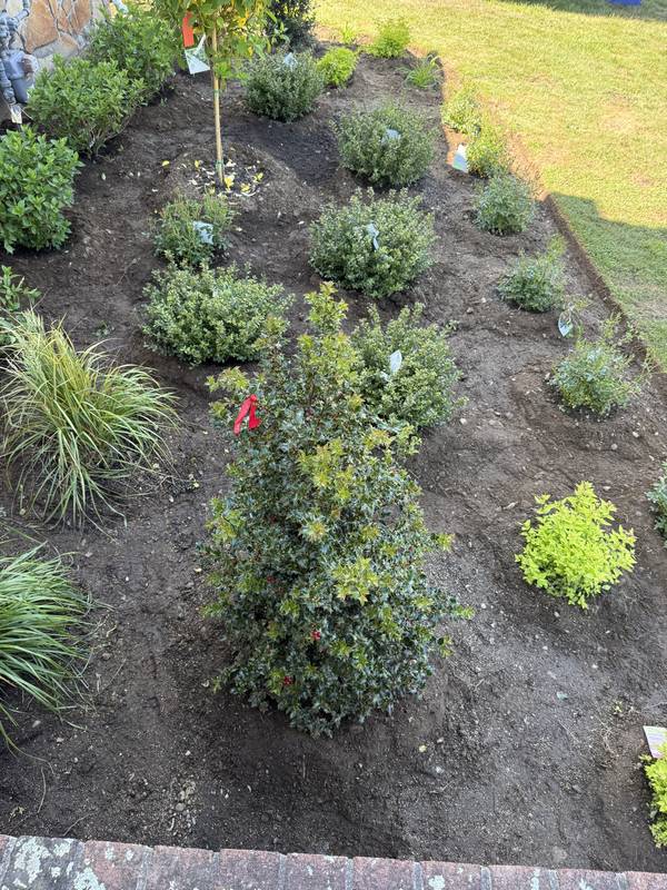 Layered plantings going in before the final mulch