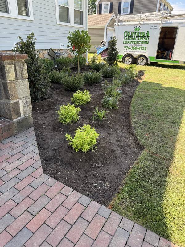 Brick walkway edged by a new mixed shrub bed