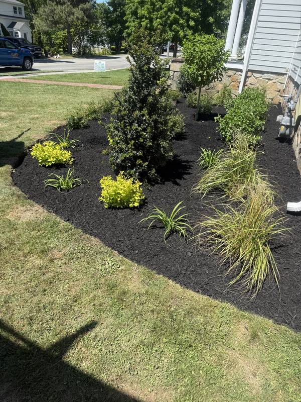 Foundation Plantings & Brick Walkway — Oliveira Landscaping project on the South Shore
