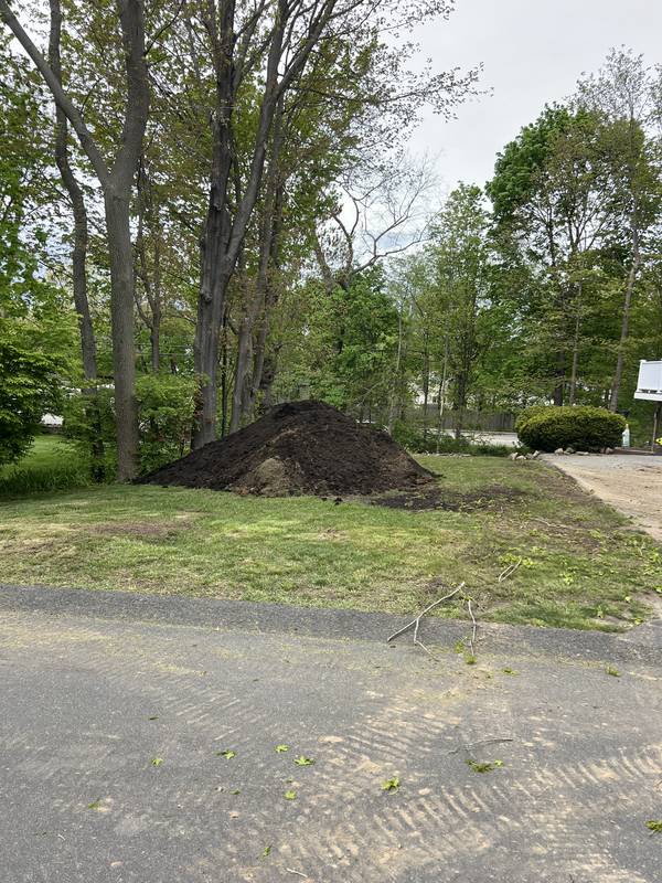 Fresh loam delivered for the new grade