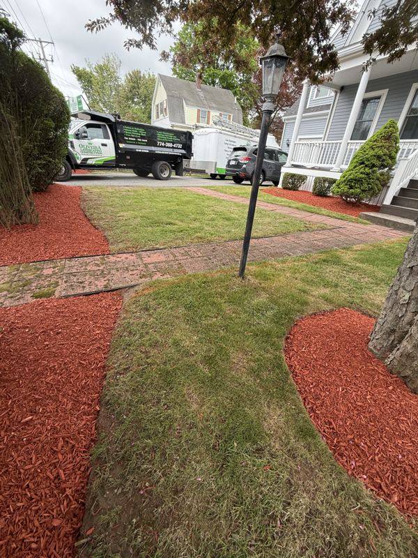 Manicured lawns and mulch beds along a residential street