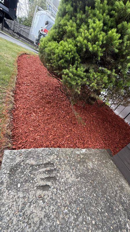 Expansive mulch installation and seasonal bed refresh