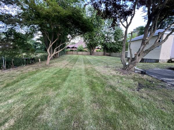 Crisp mowing stripes across the backyard