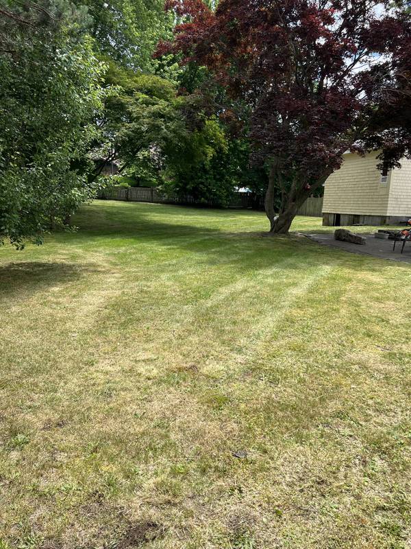 Backyard lawn mowed and trimmed