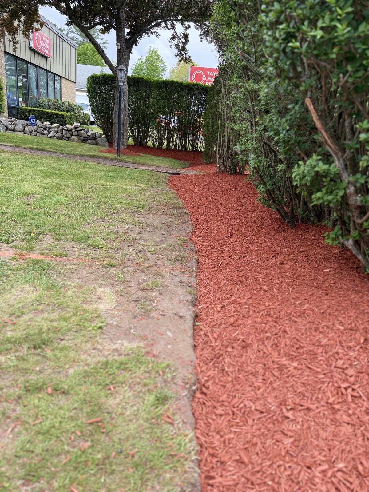 Driveway layout marked out before garden bed installation