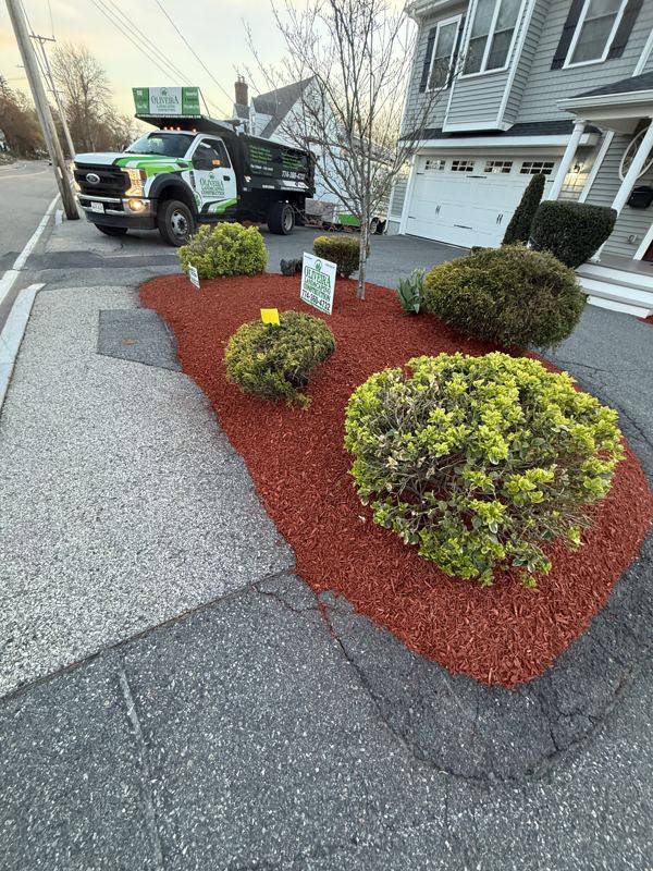 Layered plantings and clean mulch lines along the front walk