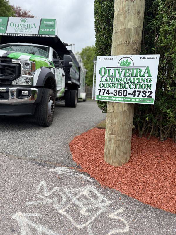 Trimmed shrubs and vibrant mulch beds set into a green lawn