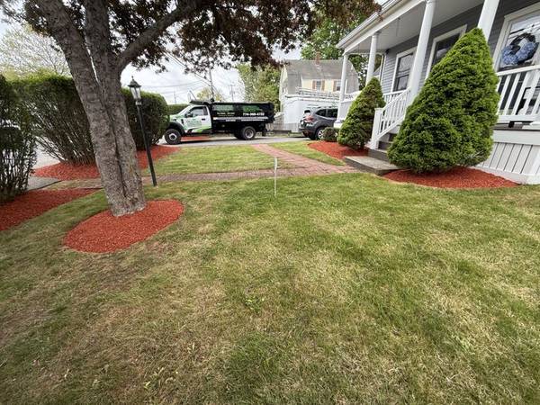 Open lawn bordered by sculpted plantings and fresh mulch