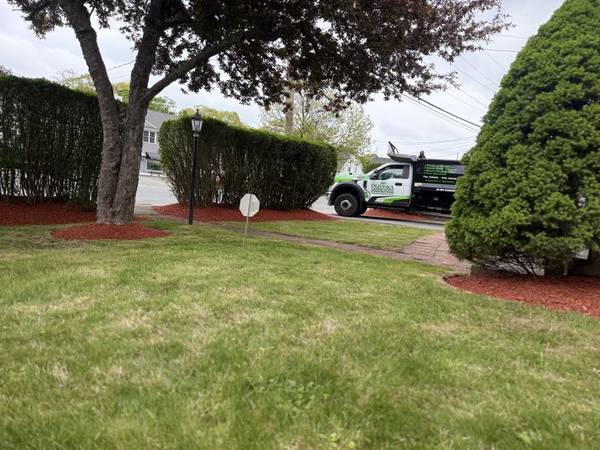 Clean transition between lawn, mulch bed, and stone