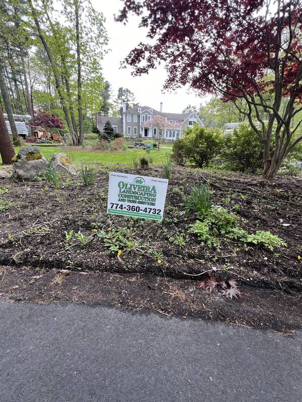 Norwell Estate Cleanup, Bed Restoration & Regrade by Oliveira Landscaping in Norwell, MA