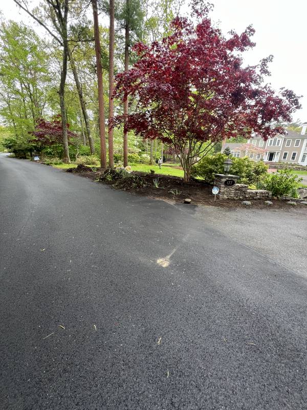 Japanese maple bed refreshed with new mulch