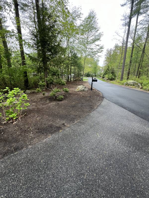 Crisp driveway bed edge through the woods