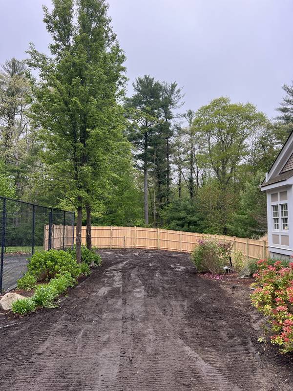 Regraded yard along the new fence ready for seed