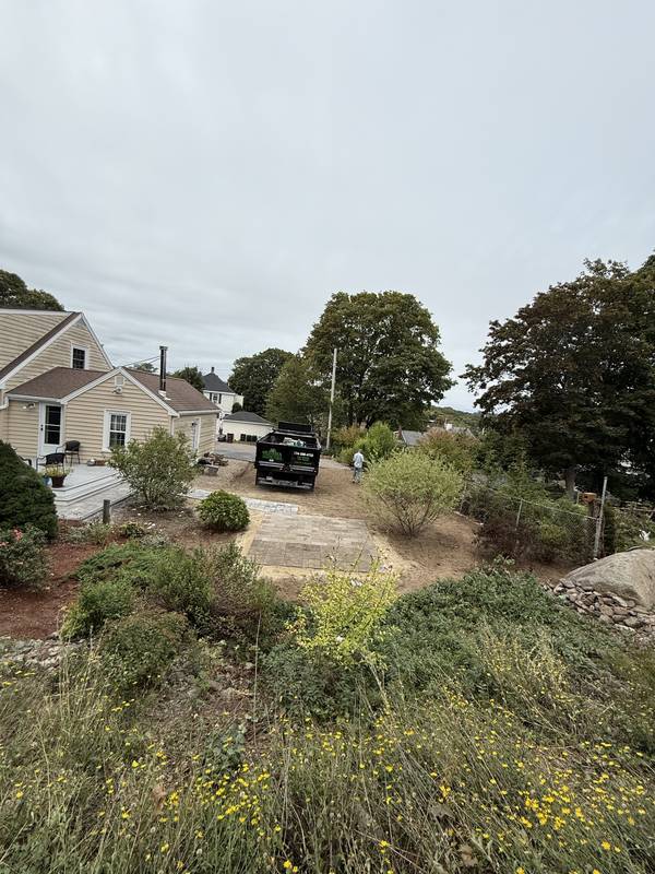 Overgrown side yard before the project began