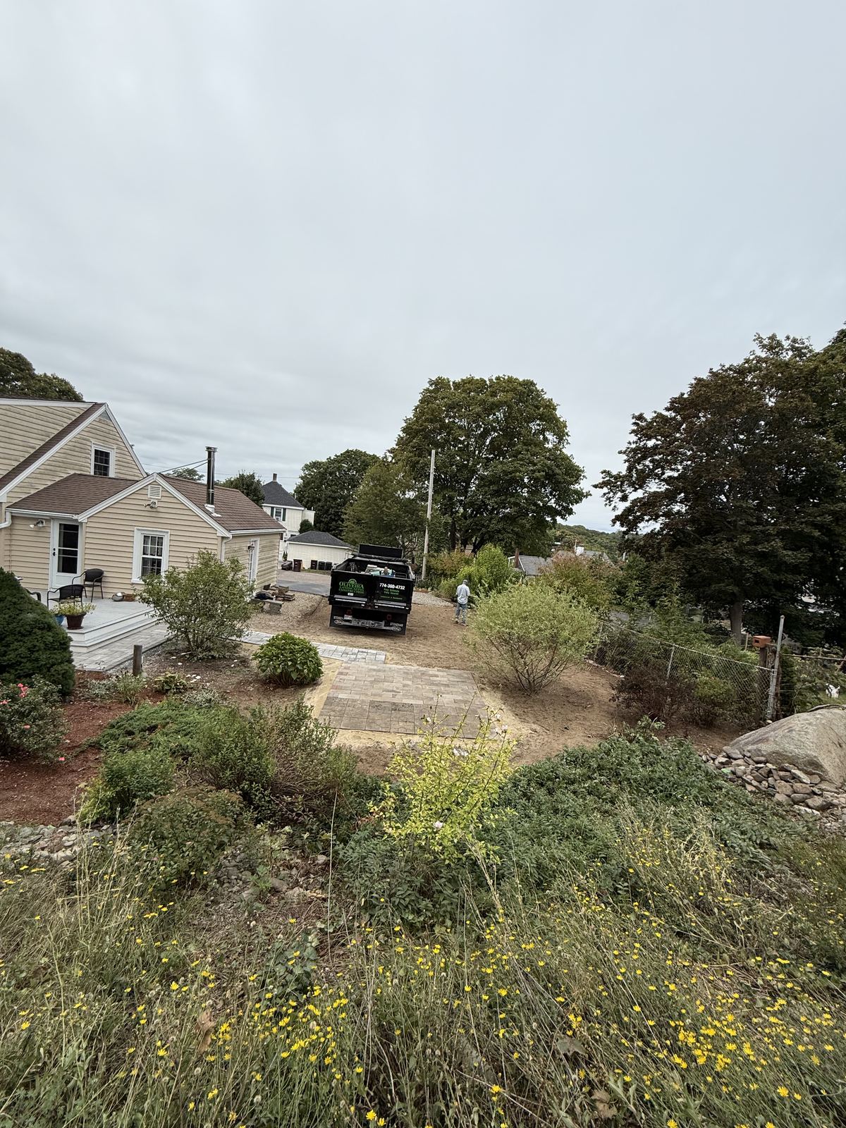 Overgrown side yard before the project began