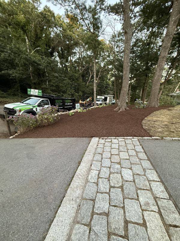 Completed walkway with crisp edging and clean lines