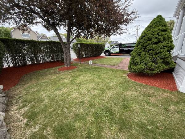 Red Mulch Bed Refresh by Oliveira Landscaping in South Shore, MA