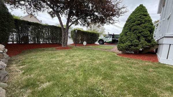 Re-edged hedge line and foundation beds