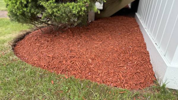 Crisp mulch bed edge along the foundation