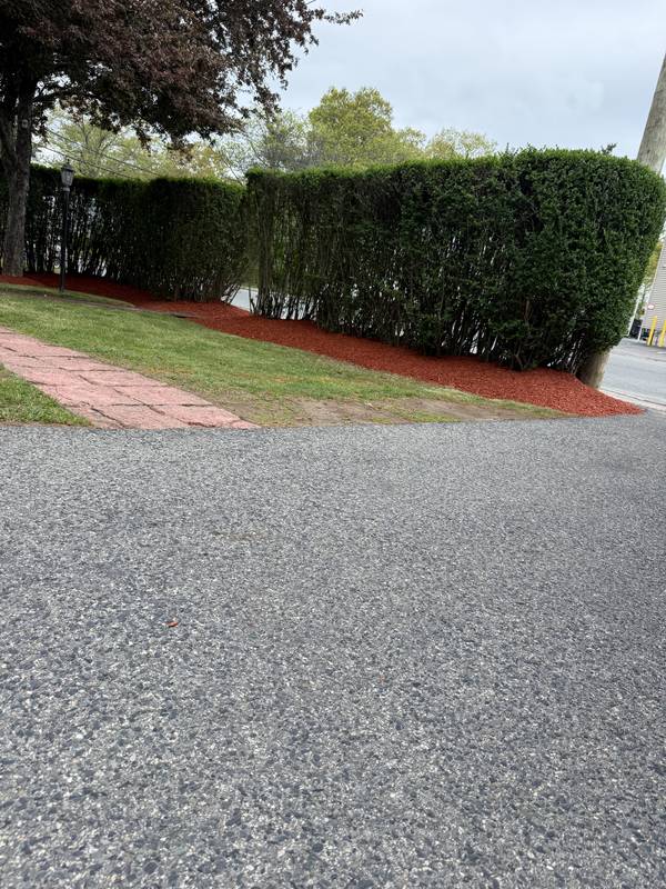 Clean hedge-line mulch bed along the driveway