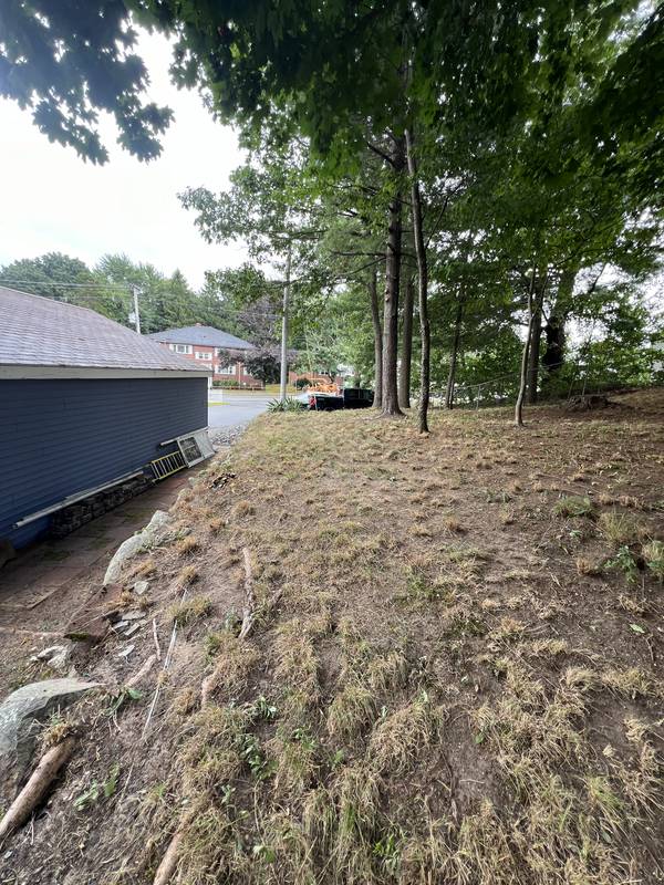 Bare, eroding bank before stabilization