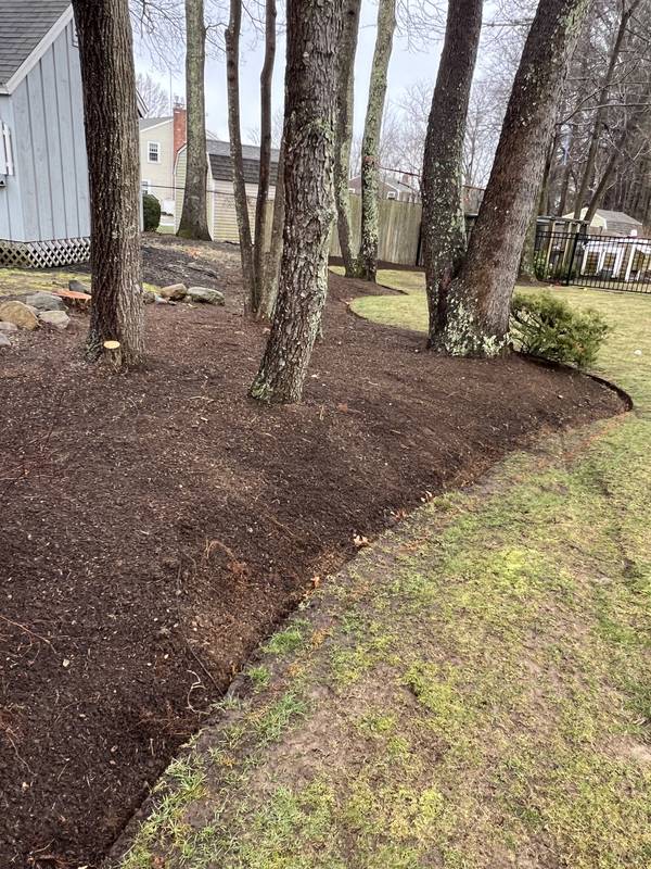 Spring Cleanup & Fresh Mulch Beds by Oliveira Landscaping in South Shore, MA
