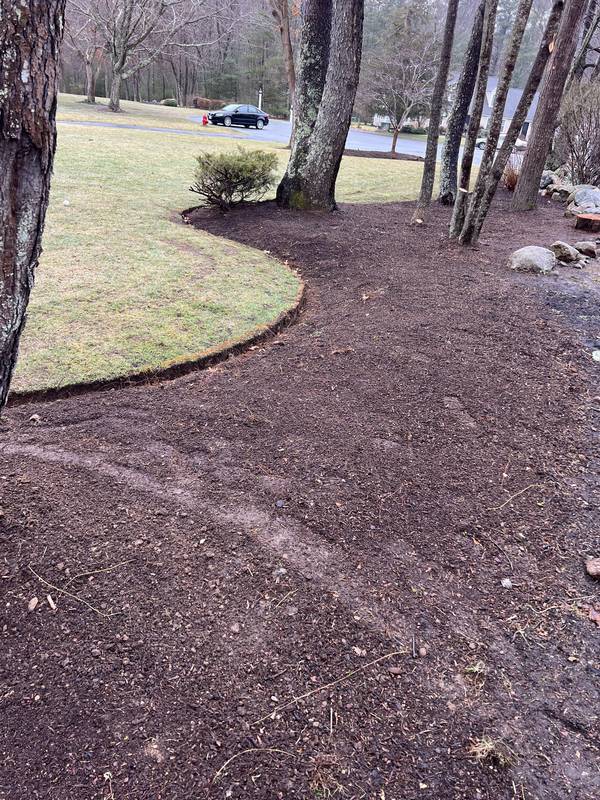 Long curved mulch bed along the lawn