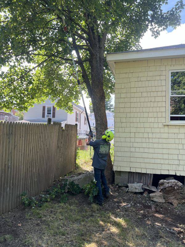 Granite Fieldstone Wall Restoration by Oliveira Landscaping in South Shore, MA