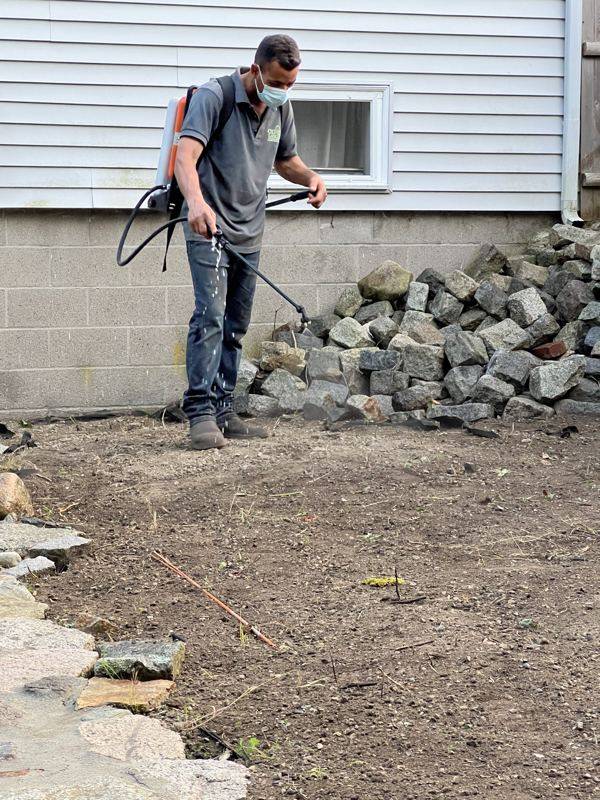 Detailing and cleanup along the rebuilt stone wall