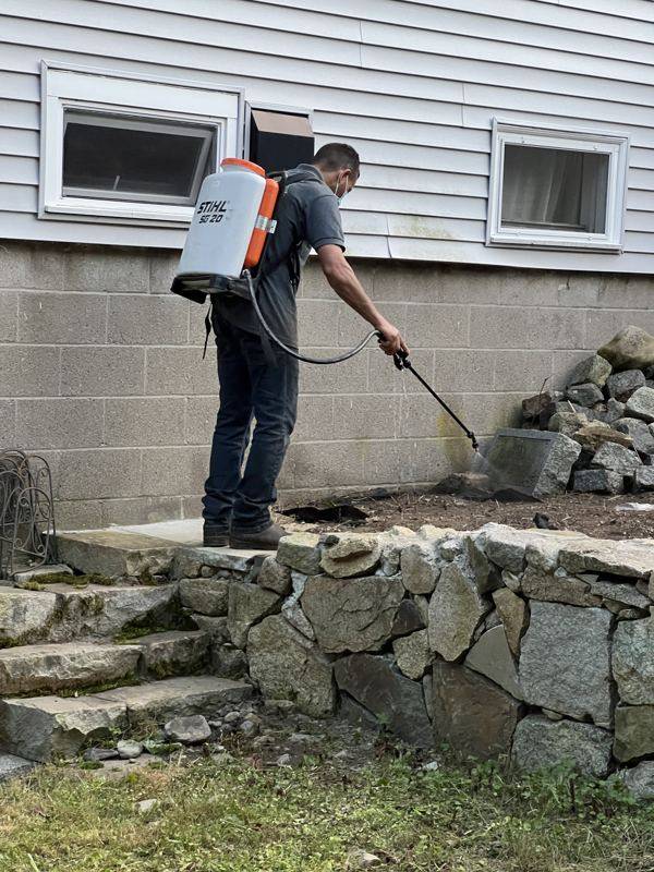 Power-washing and finishing the restored wall and steps