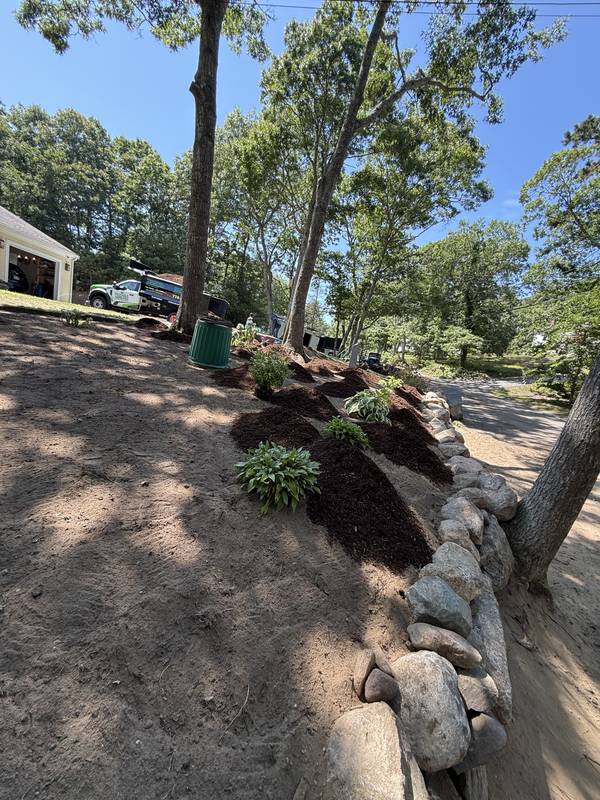 Boulder wall and first plantings in the new bed