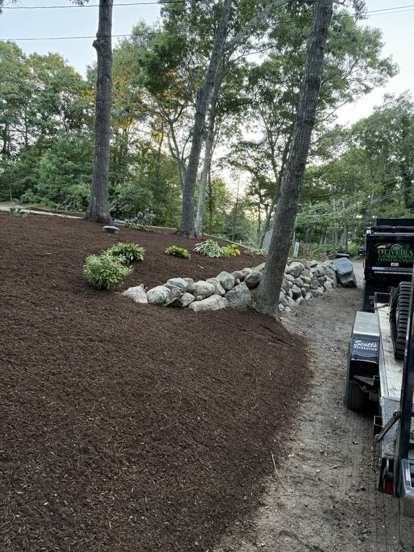 Broad mulch bed with boulders wrapped around the trees