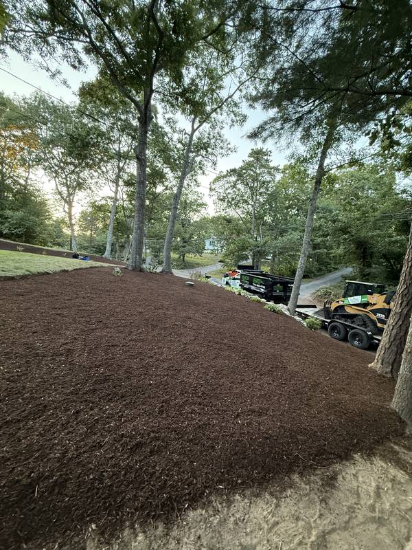 Fresh mulch covering the regraded slope
