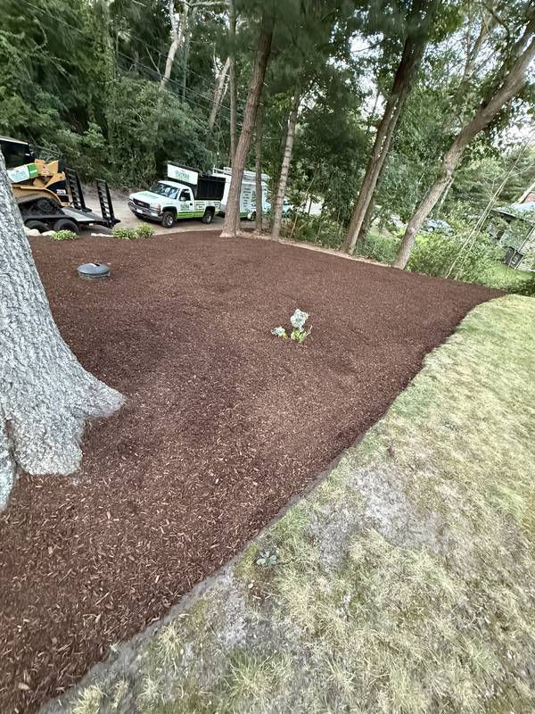 Clean bed edge between mulch and lawn