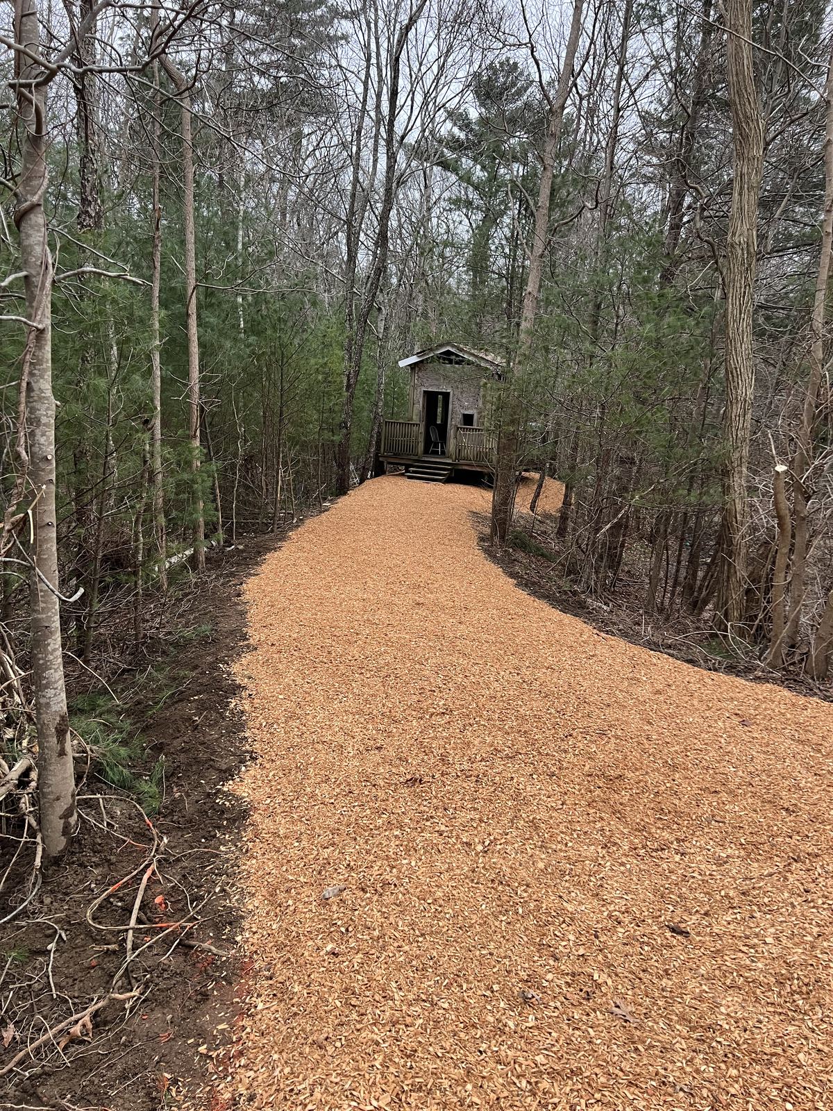 Wood-chip path winding to the shed